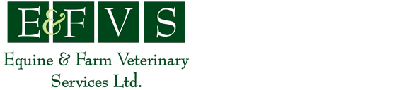 Sponsor